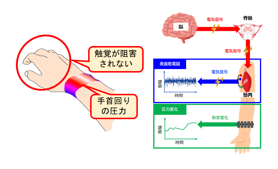 触覚が阻害されない圧力情報